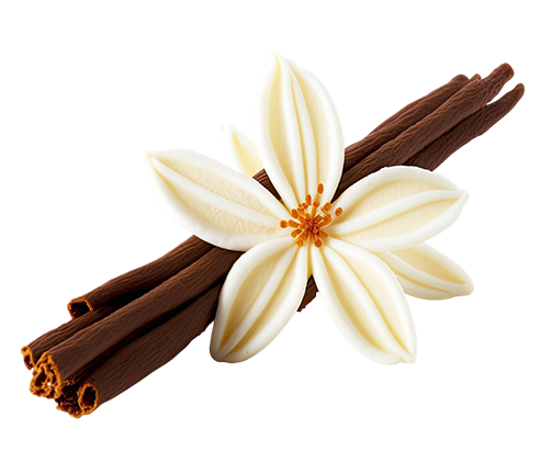 Vanilla